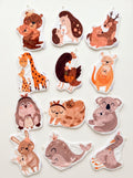 Mes premiers compagnons "Cocon de Tendresse" - Lot de 12